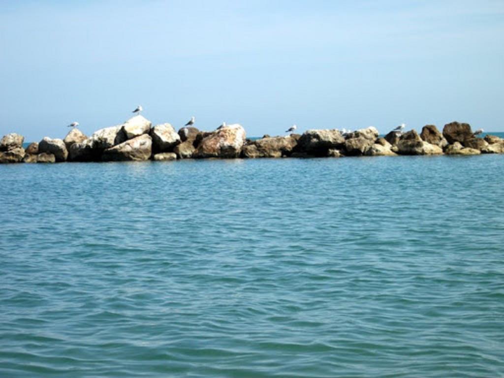 Apartmán Un Nido Sul Mare Montesilvano Marina Exteriér fotografie
